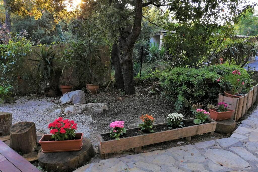 2 Pièces Zen Dans En Pleine Nature Appartement *